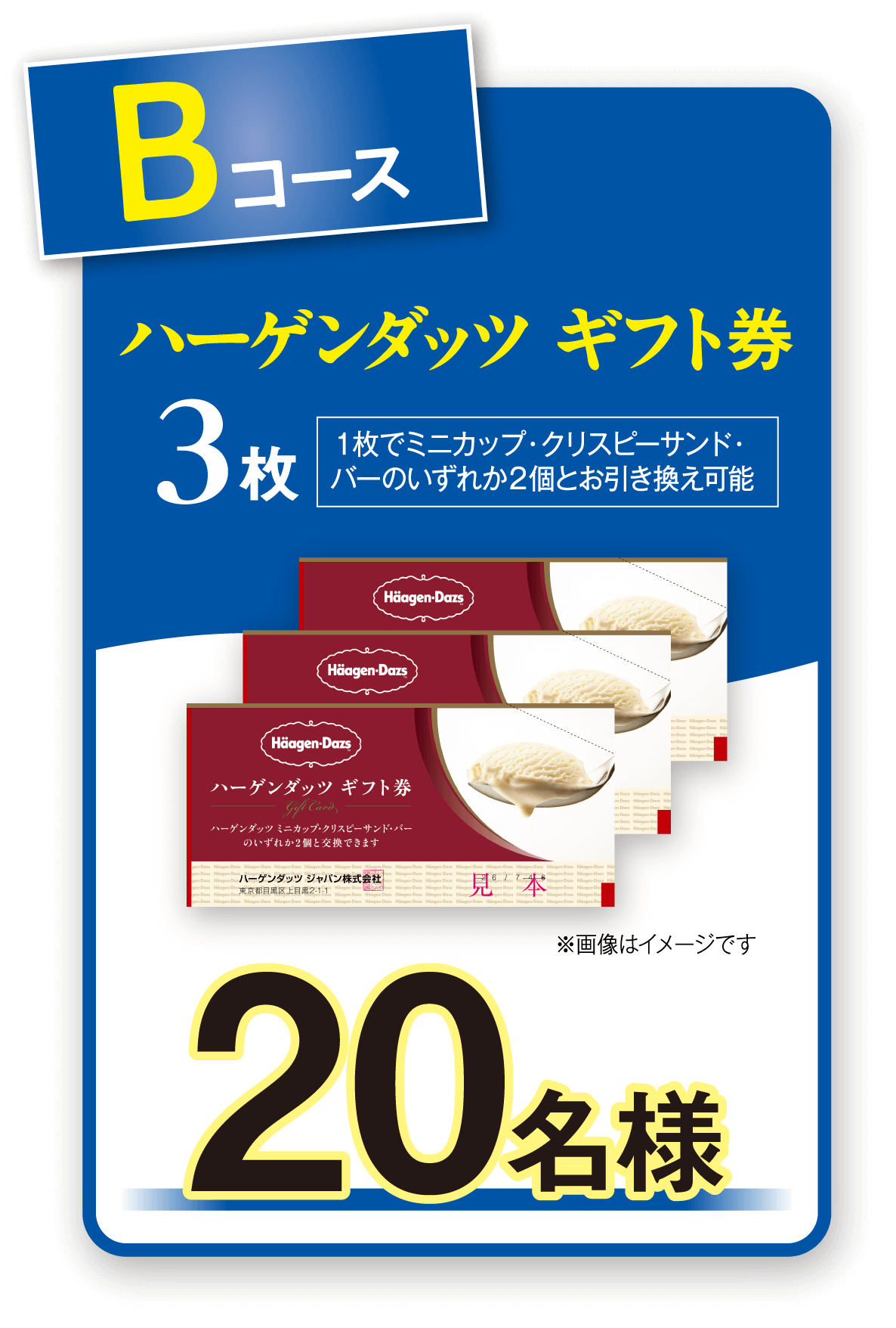 Bコース ハーゲンダッツ ギフト券 3枚 20名様
